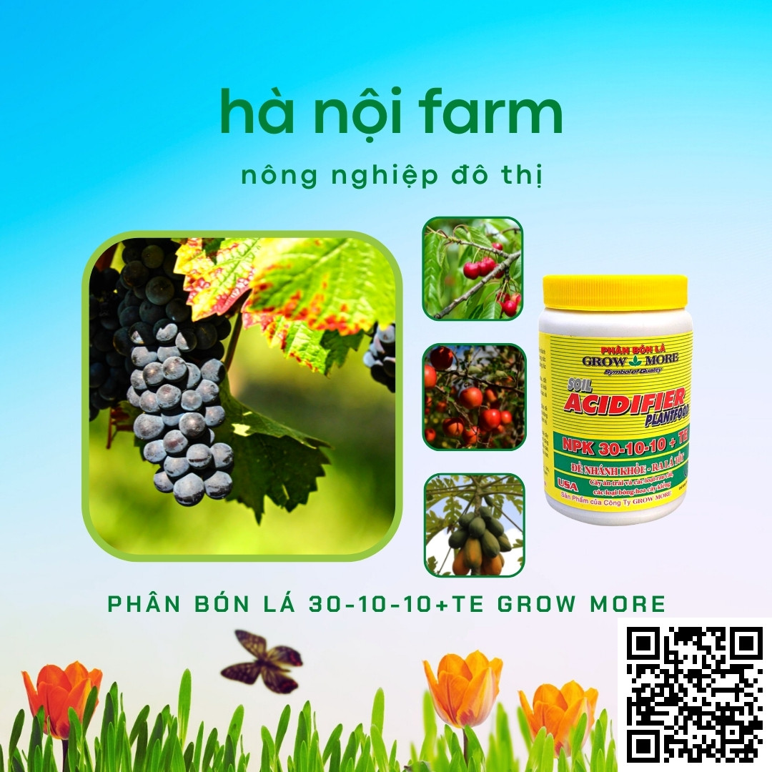 Phân bón lá 30-10-10 Grow More - Hũ 100g