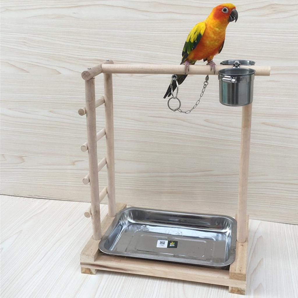 Parrot Bird Playground Perch Gym with Ladder Cups Exercise & Playing