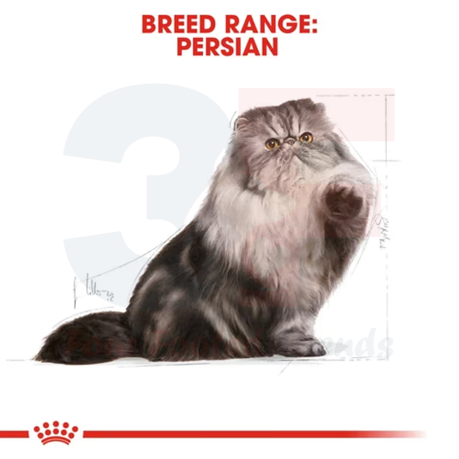 Thức Ăn Cho Mèo Ba Tư Trưởng Thành Royal Canin Persian Adult