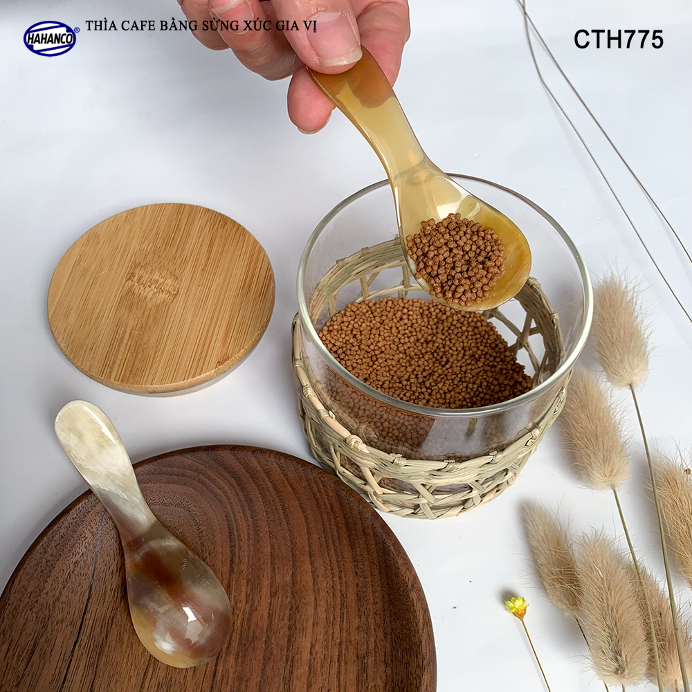 Thìa Xúc Gia Vị Đồ Khô Bằng Sừng Tự Nhiên HAHANCO Size Nhỏ 9.7cm