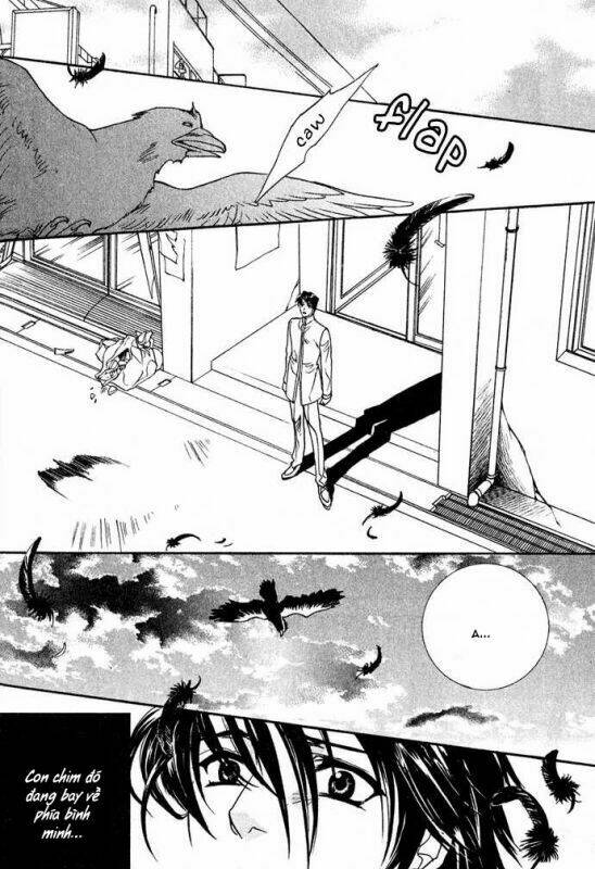 innocent bird chapter 13 42