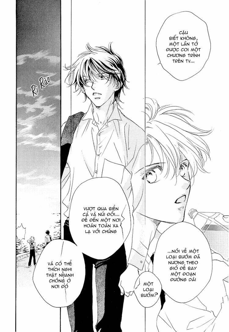 cánh bướm nhỏ cô độc chapter 1.5 26