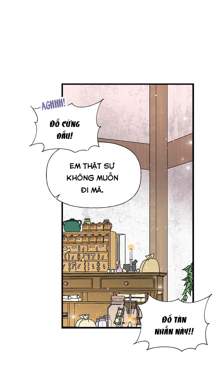 chị tôi đã nhặt về một nam chính quyến rũ chapter 27 33