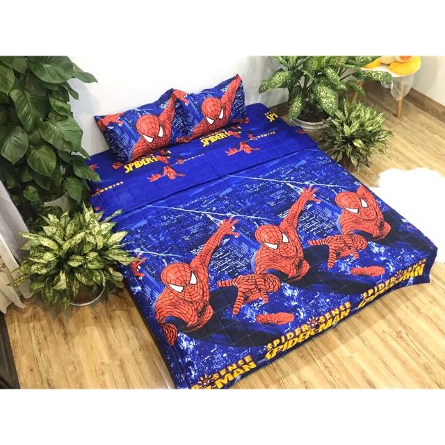 Bộ Mền Drap 5 Món Cotton Poly Gồm Mền Hè + Drap + 2 Áo Gối + Áo Gối Ôm Đủ Kích Cỡ 1m2 1m4 1m6 1m8 2m2 Album 2022-03