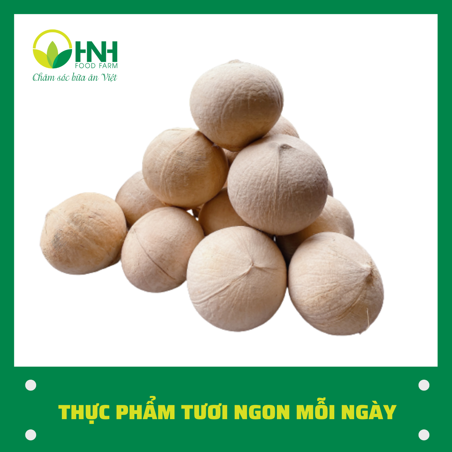 Dừa xiêm chuẩn ngon, ngọt - HNH Food Farm