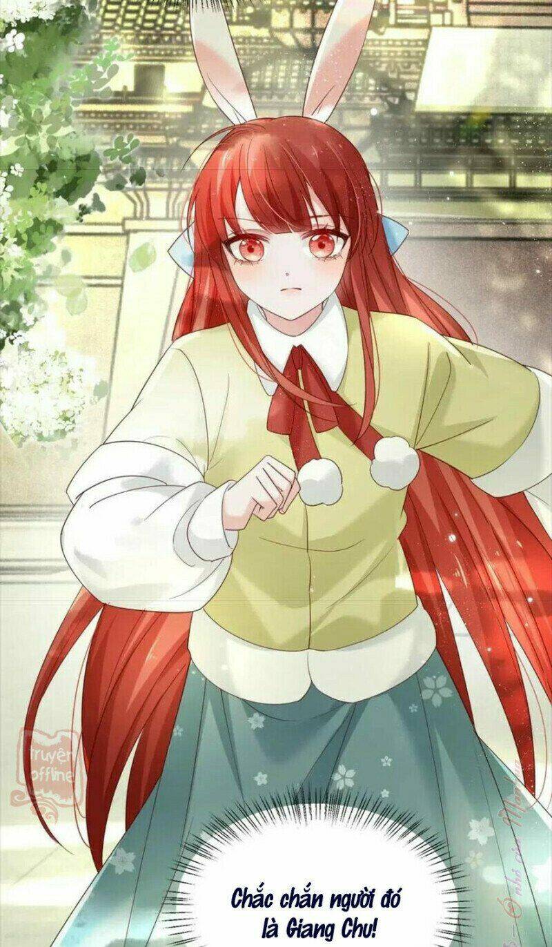 hắc hóa nam chính trực tuyến nuôi thỏ chapter 57 29