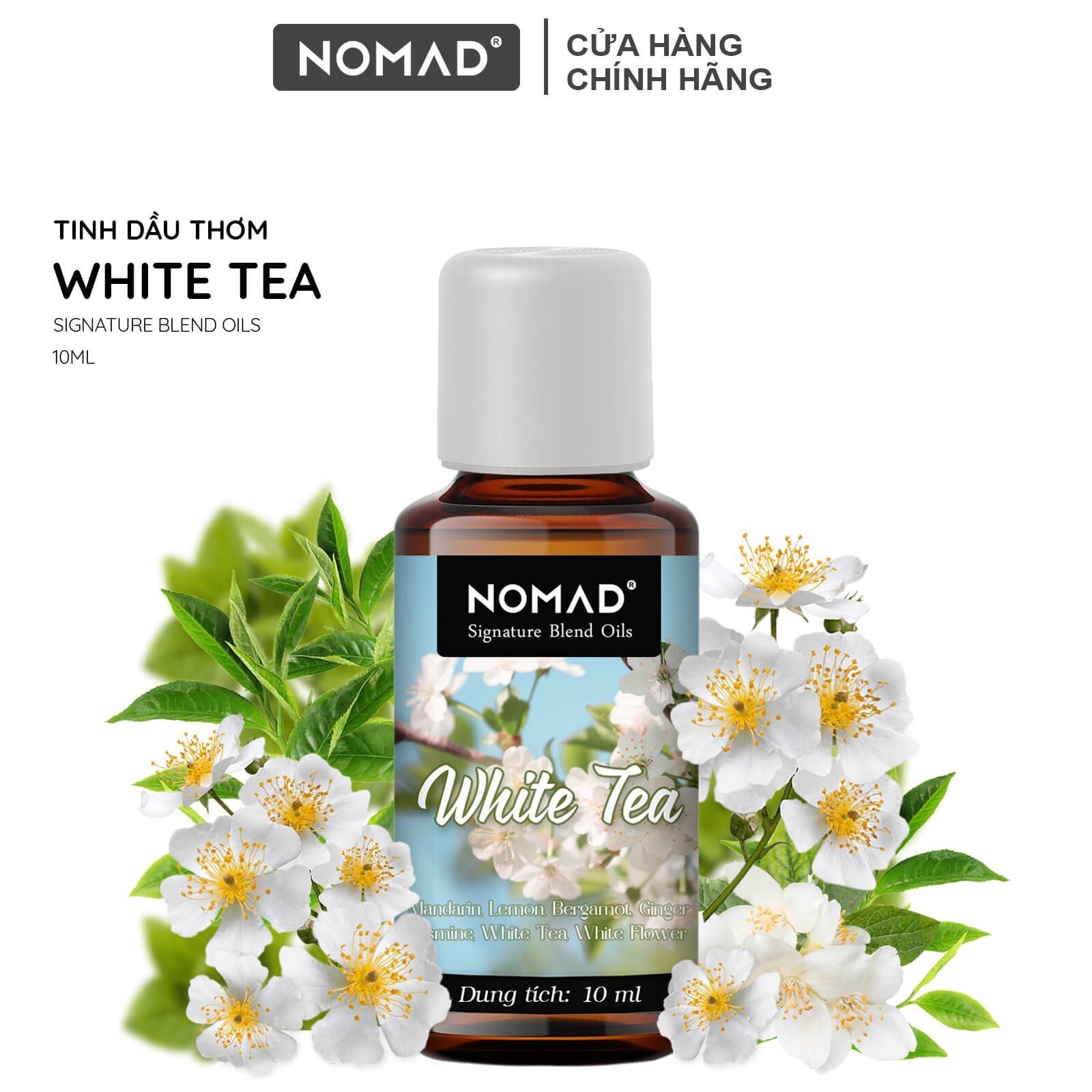 Tinh Dầu Thiên Nhiên Trà Trắng Nomad Essential Oils White Tea