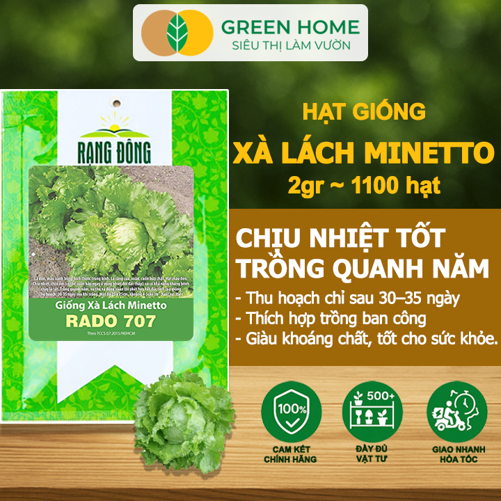 Hạt Giống Xà Lách MINETTO GreenHome, Gói 2gr1100 hạt, Dễ Trồng Quanh Năm, Năng Suất Cao R19