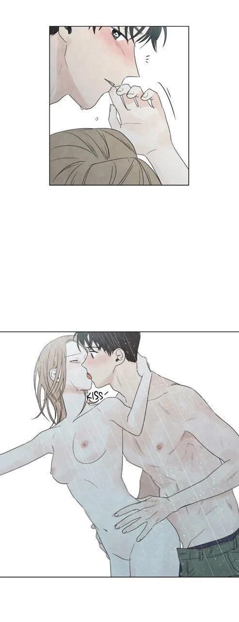 summer solstice point chapter 14 29