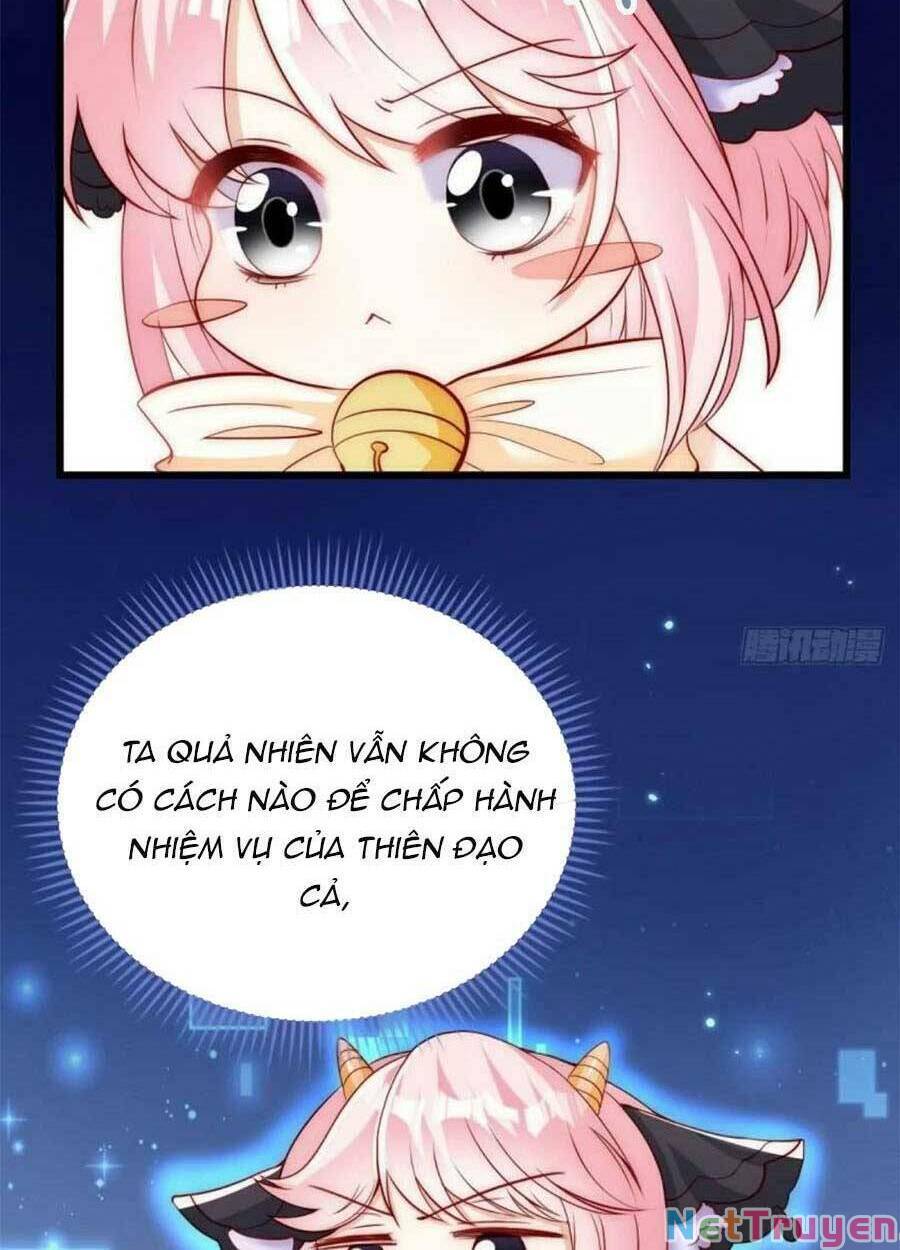 tôi được năm đại lão chiều chuộng hết nấc chapter 73 4