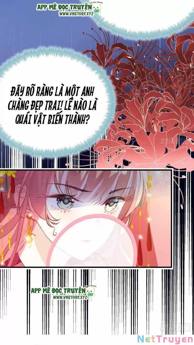 lại bị bệnh chiều chuộng quấn lấy chapter 1 42