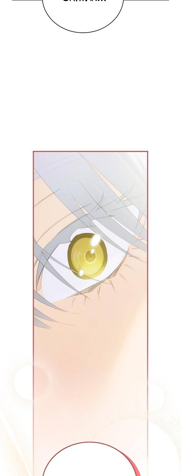 đứa bé đó không phải con anh chapter 70.1 13