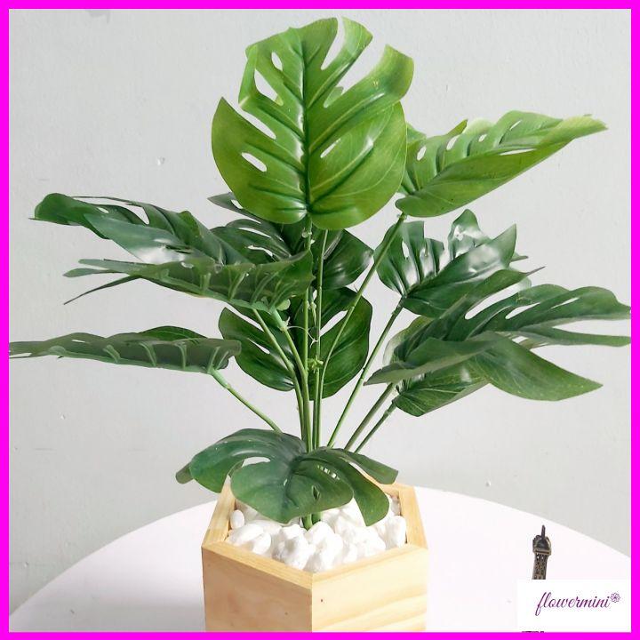 Chậu cây lá rùa giả 45cm để bàn trang trí xanh mát kèm chậu gỗ lục giác độc đáo Flowermini CGR-01