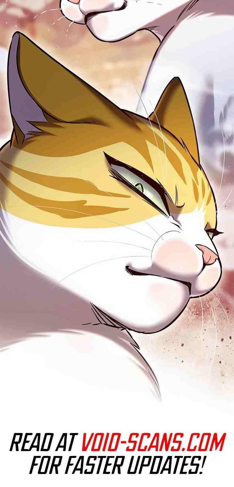 biến thân thành mèo chapter 252 69