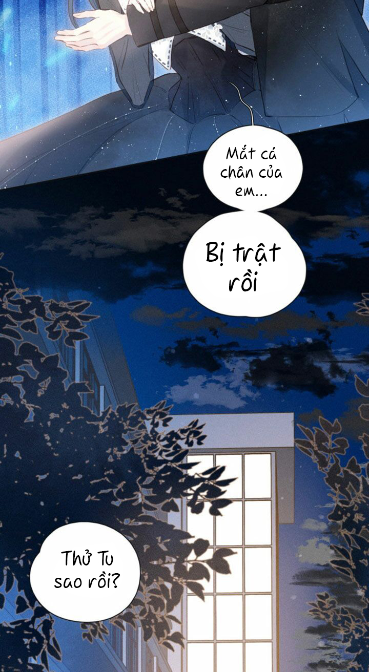 nỗi buồn của hoa cẩm tú cầu chapter 49 11