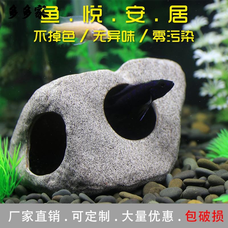 Hang cá ali - hang pleco - trang trí bể tép - bể thủy sinh - hồ cá cảnh