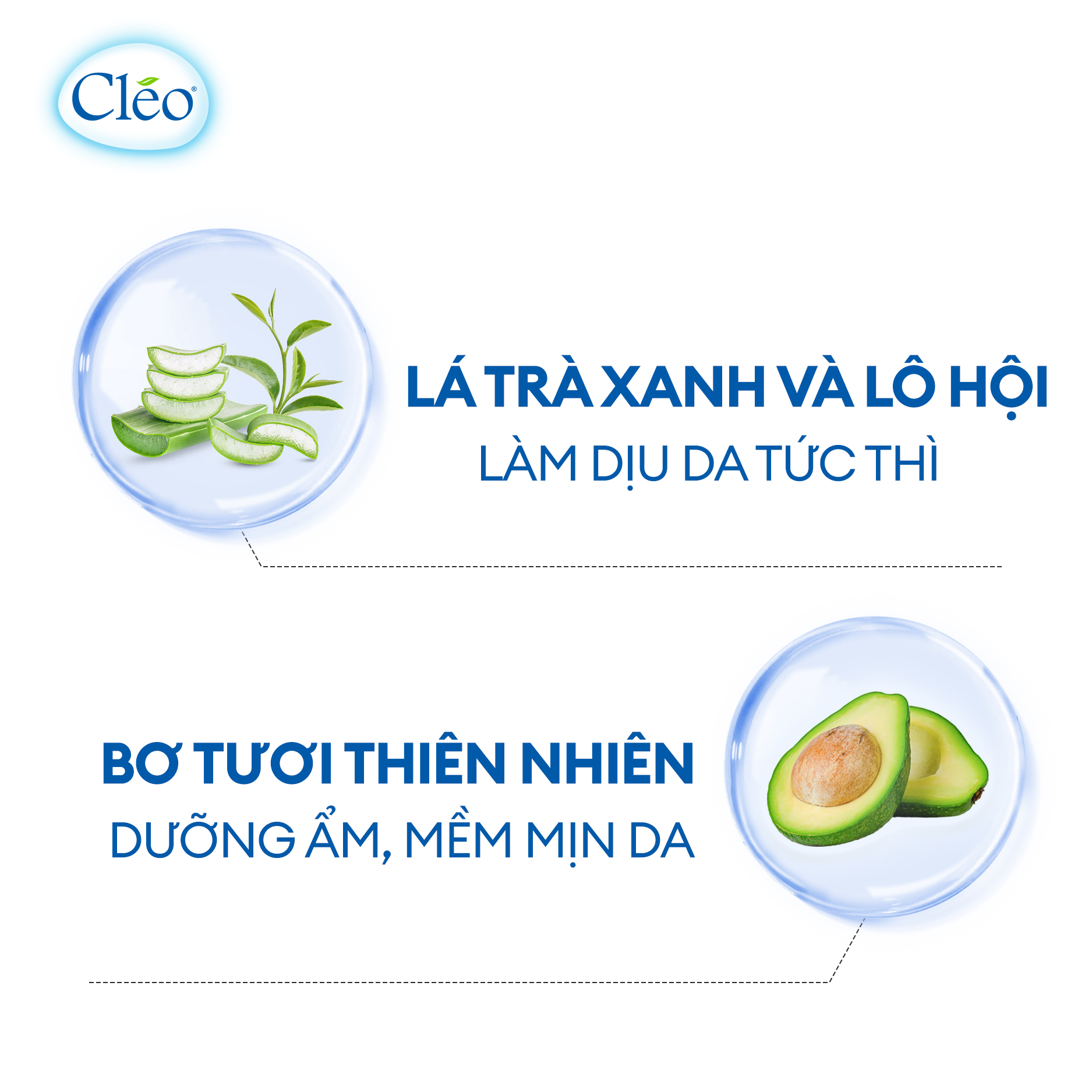 Combo tẩy lông Bikini Cléo 50g, an toàn không đau, hiệu quả trong 8 phút và gel dưỡng ẩm mịn da Cléo 50g