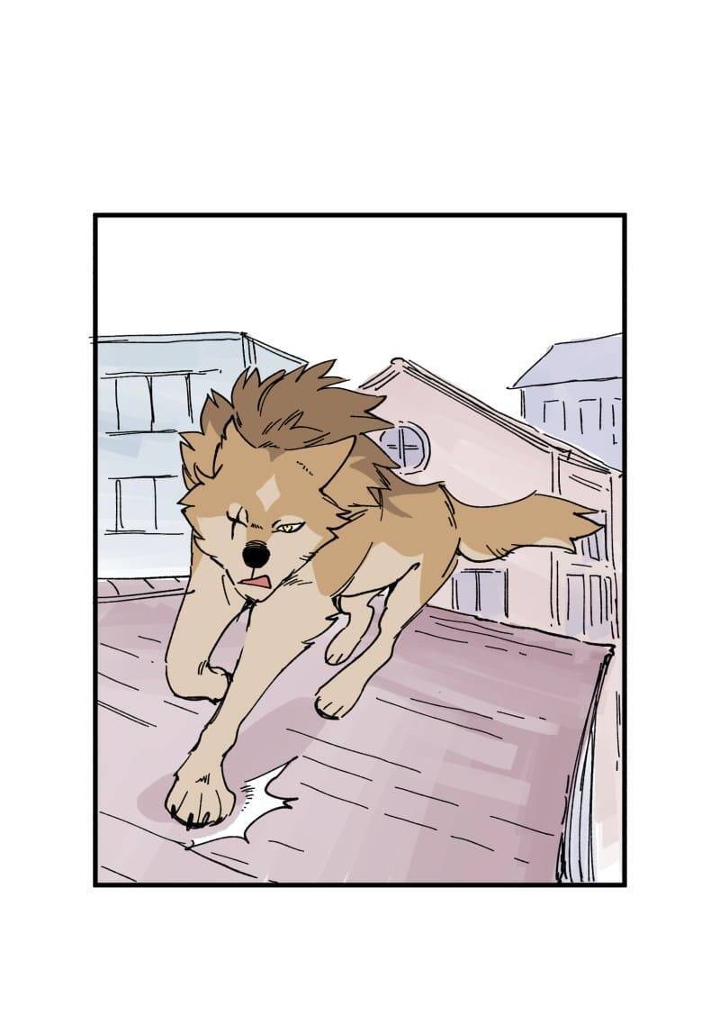 lumine - cội nguồn ánh sáng chapter 152 31