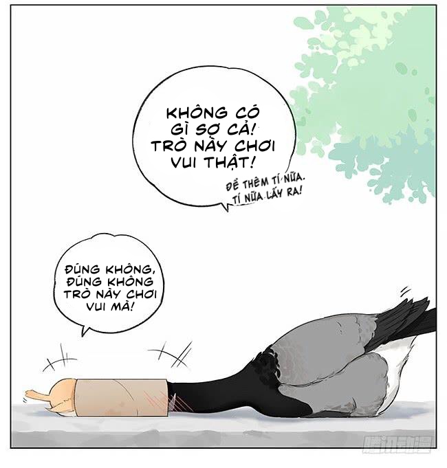 sẻ chiếu mới và nhạn phong sương chapter 3 11