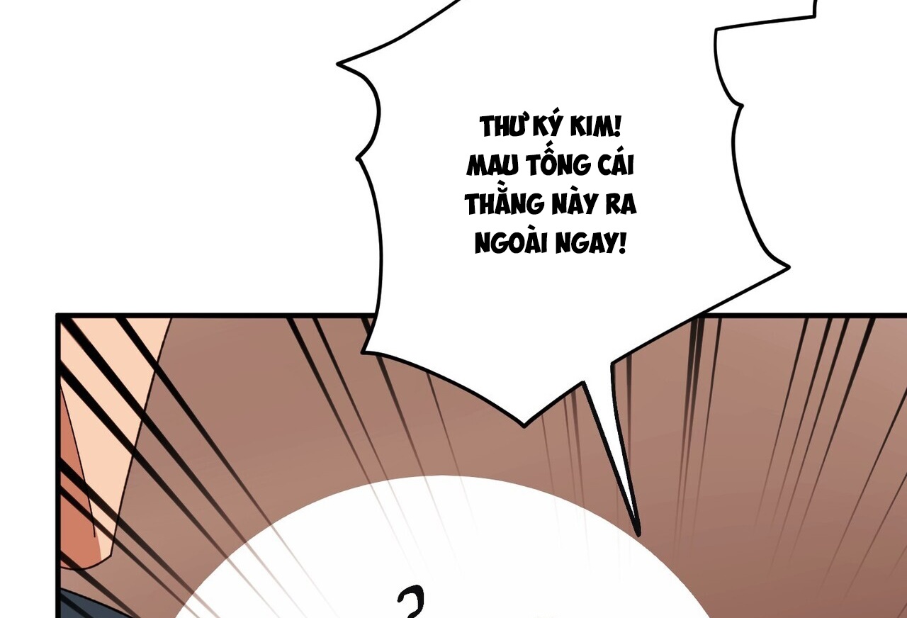 chàng dâu nhà họ kang chapter 40 13