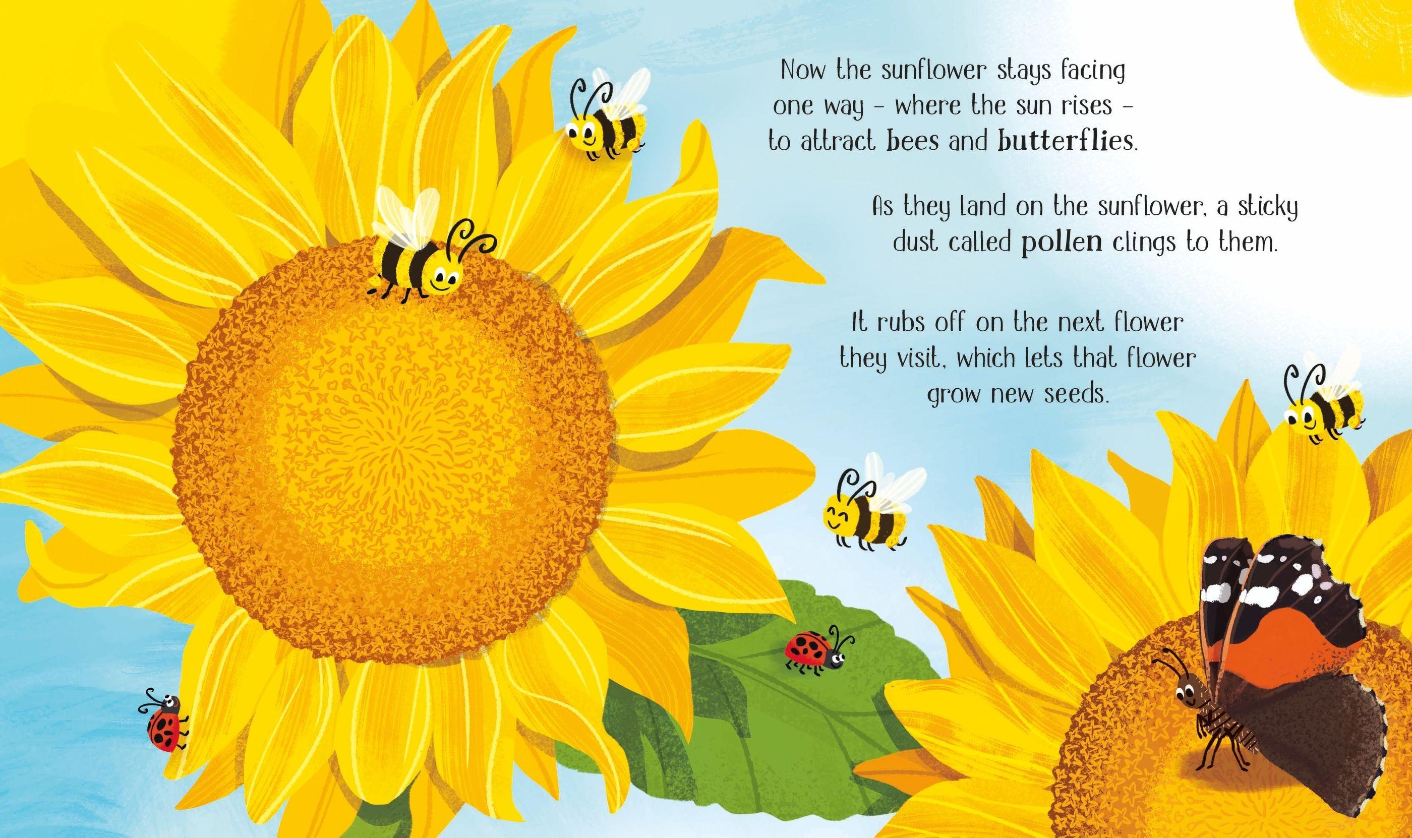 Sách ngoại văn: One Little Seed