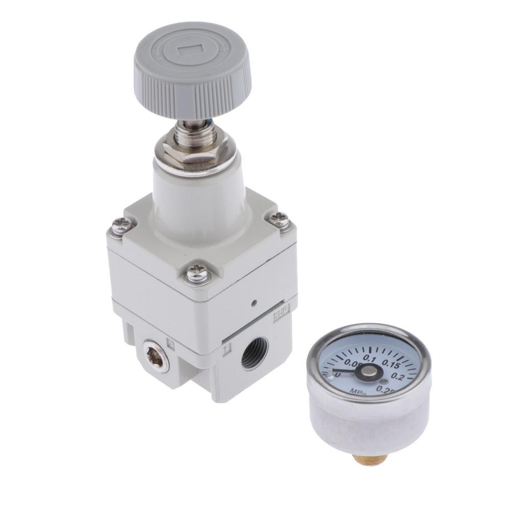 IR1000-01 1/8" Precision Air Pressure Regulating Relief Valve with Gauge