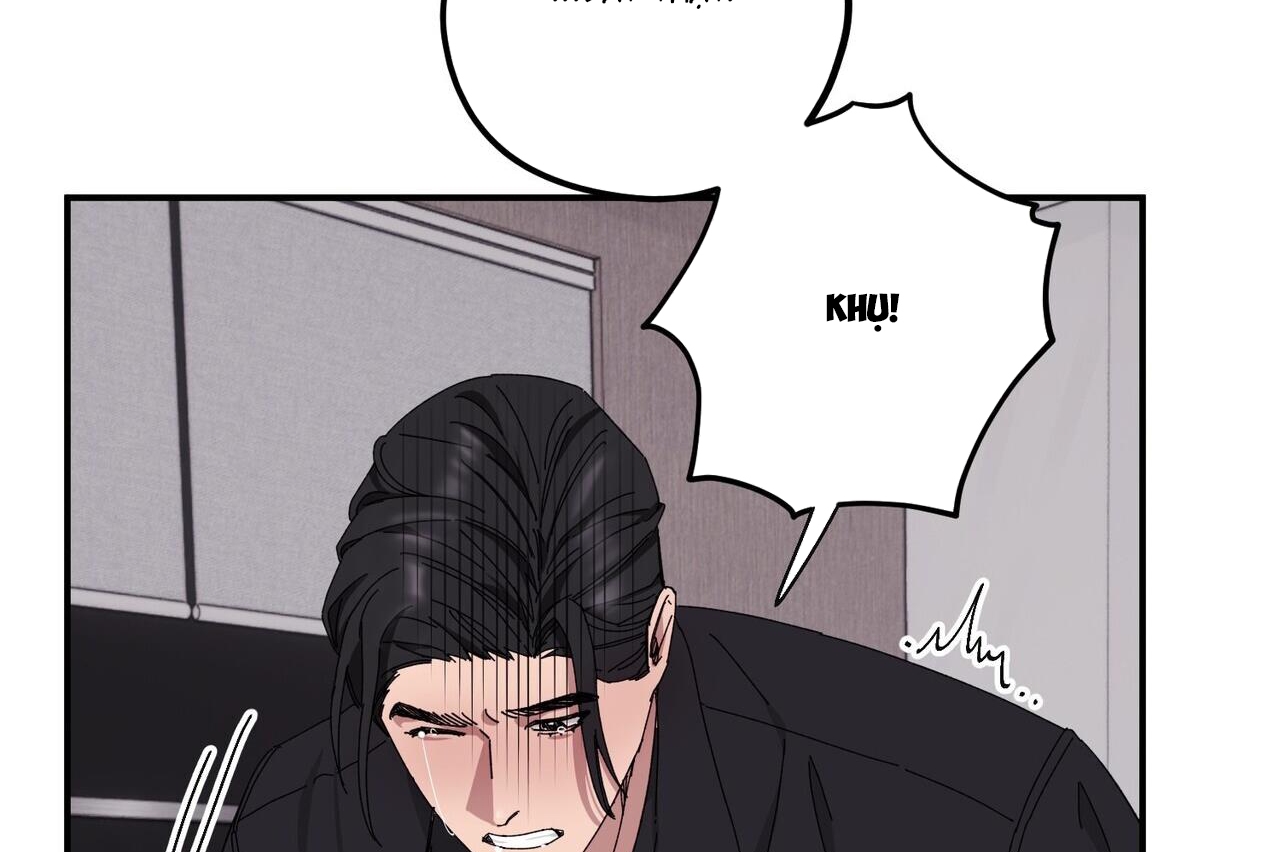 chàng dâu nhà họ kang chapter 34 143