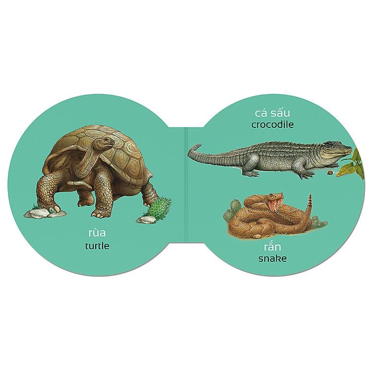 Sách Picture Dictionary - Từ điển bằng hình
