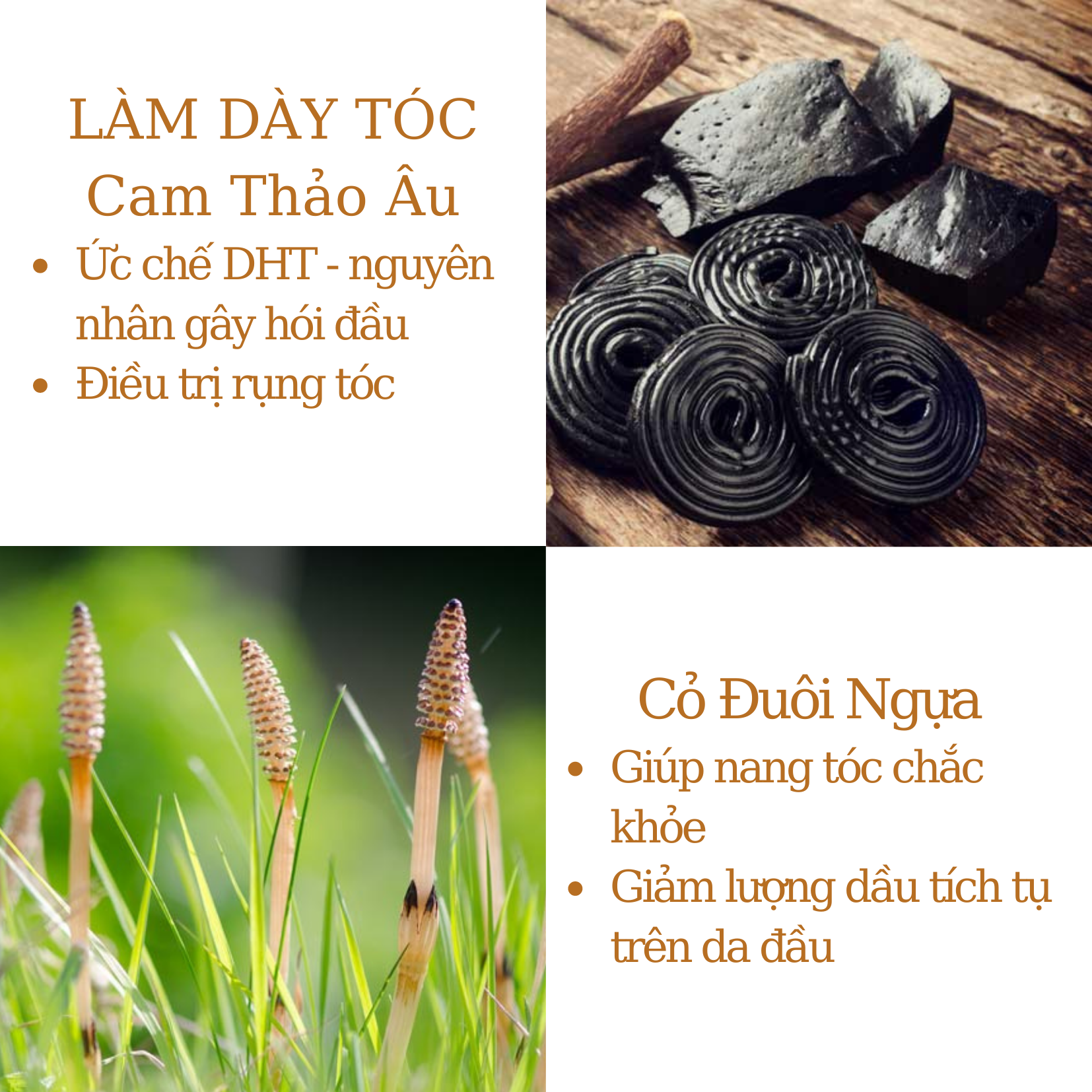 Tinh Dầu Dưỡng Tóc Giúp Mọc Tóc Chắc Khỏe Bền Bỉ, Giảm Gãy Rụng, Hương Thơm Đặc Biệt Hair Thickening Tonic 125ml