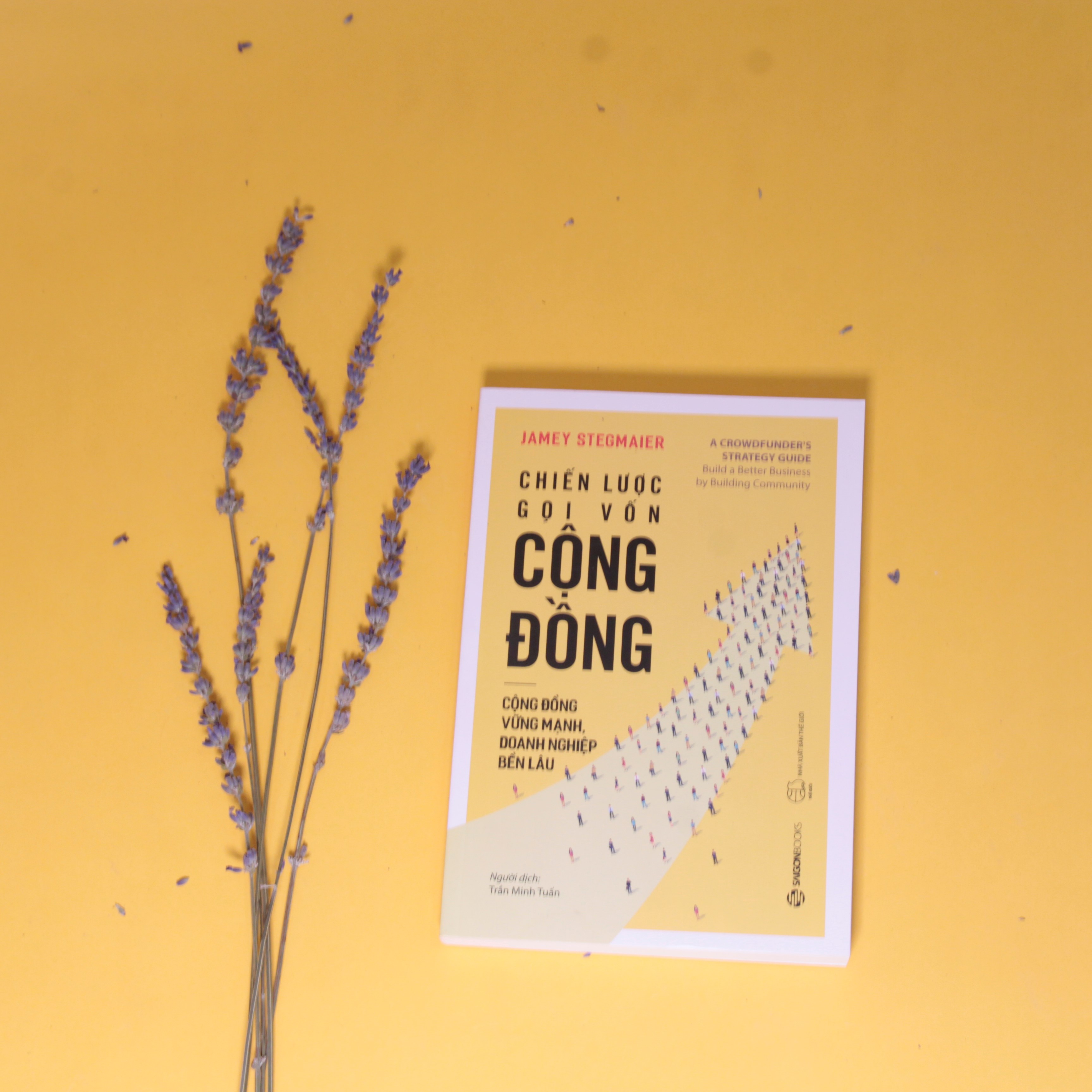 Chiến lược gọi vốn cộng đồng  - Tác giả Jamey Stegmaier