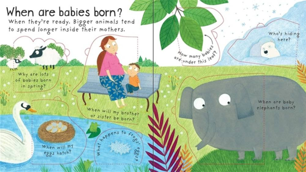 Sách - Anh: First Questions and Answers: Where do babies come from?