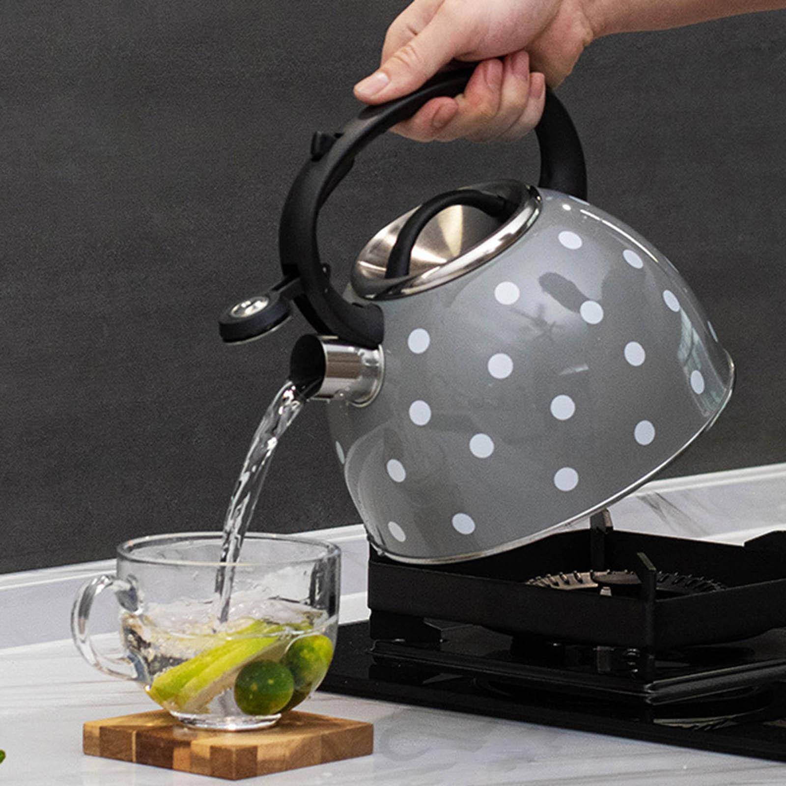 Whistling Kettle with Heat Resistant Handle Hiking Teapot for Boiling Coffee