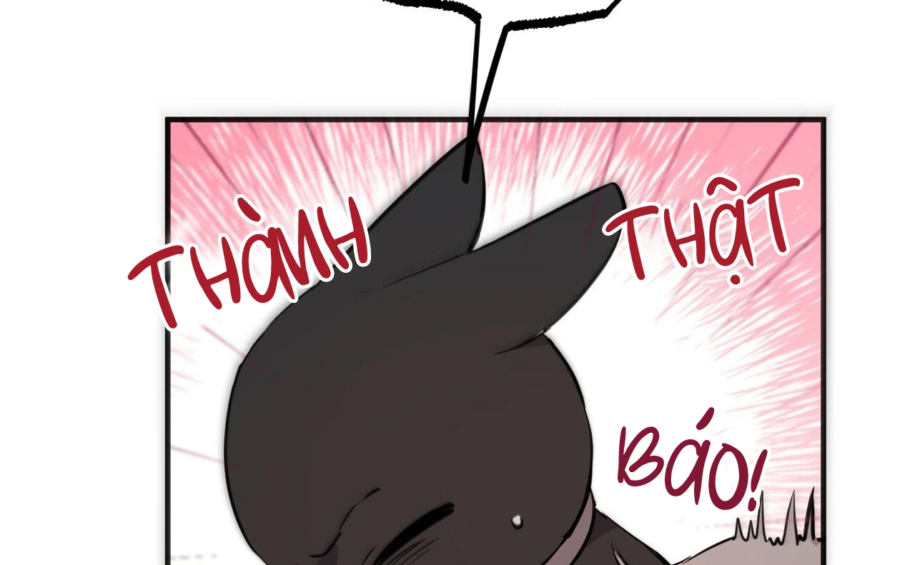 đàn thỏ của habibi chapter 46 84
