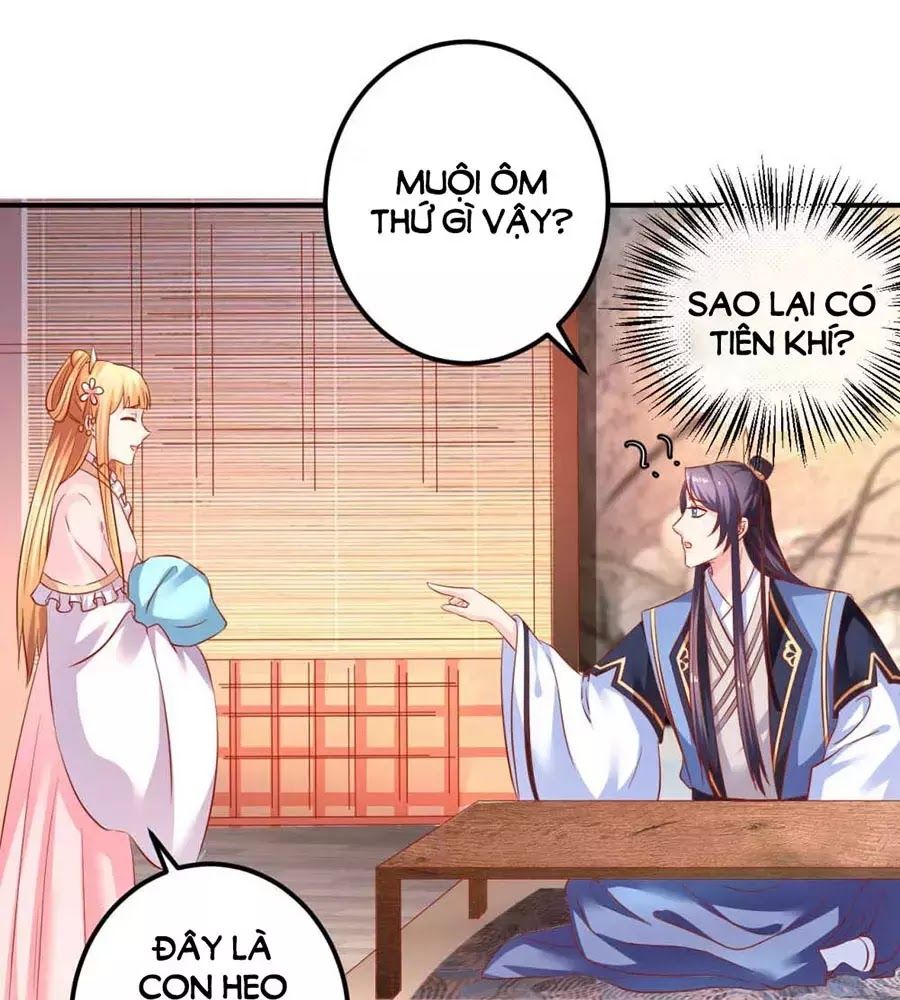 từ đây vương gia không thượng triều sớm chapter 88 5