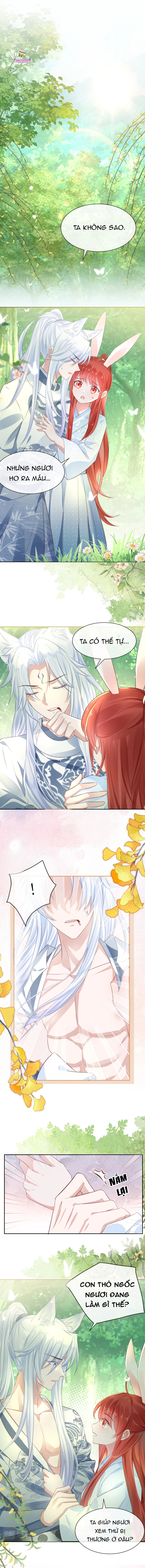 nuôi thỏ? nam chính hắc hóa rồi! chapter 15 1