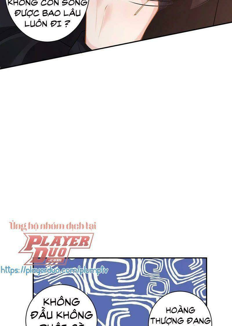 quận chúa vững vàng, thiết lập nhân vật không thể vỡ chapter 14 52