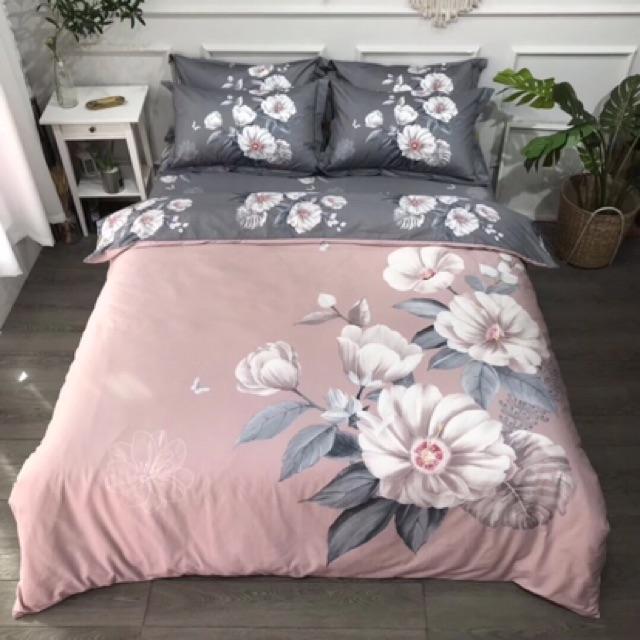 Set Ga Gối Cotton Organic Hàng Nhập Khẩu Cao CẤp 4 Món