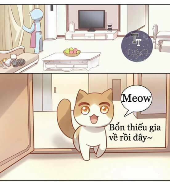 dưới móng vuốt mèo chapter 8 49