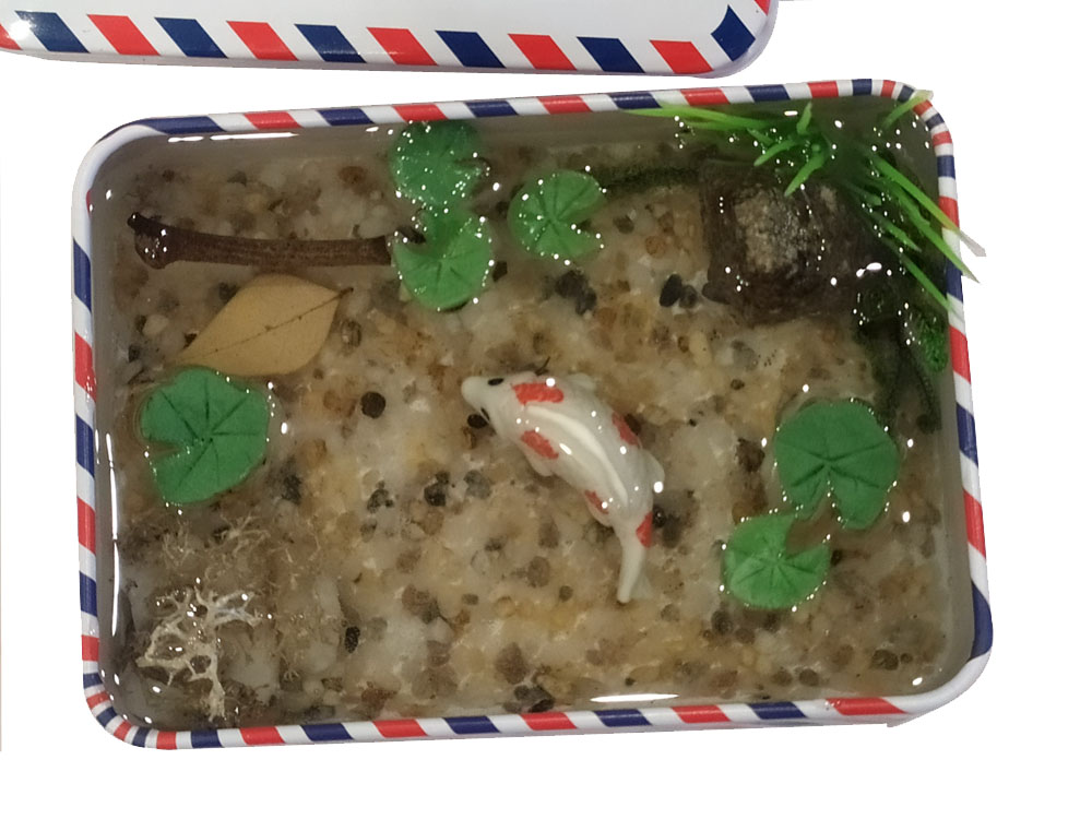 Tiểu cảnh cá handmade trong hộp thiếc