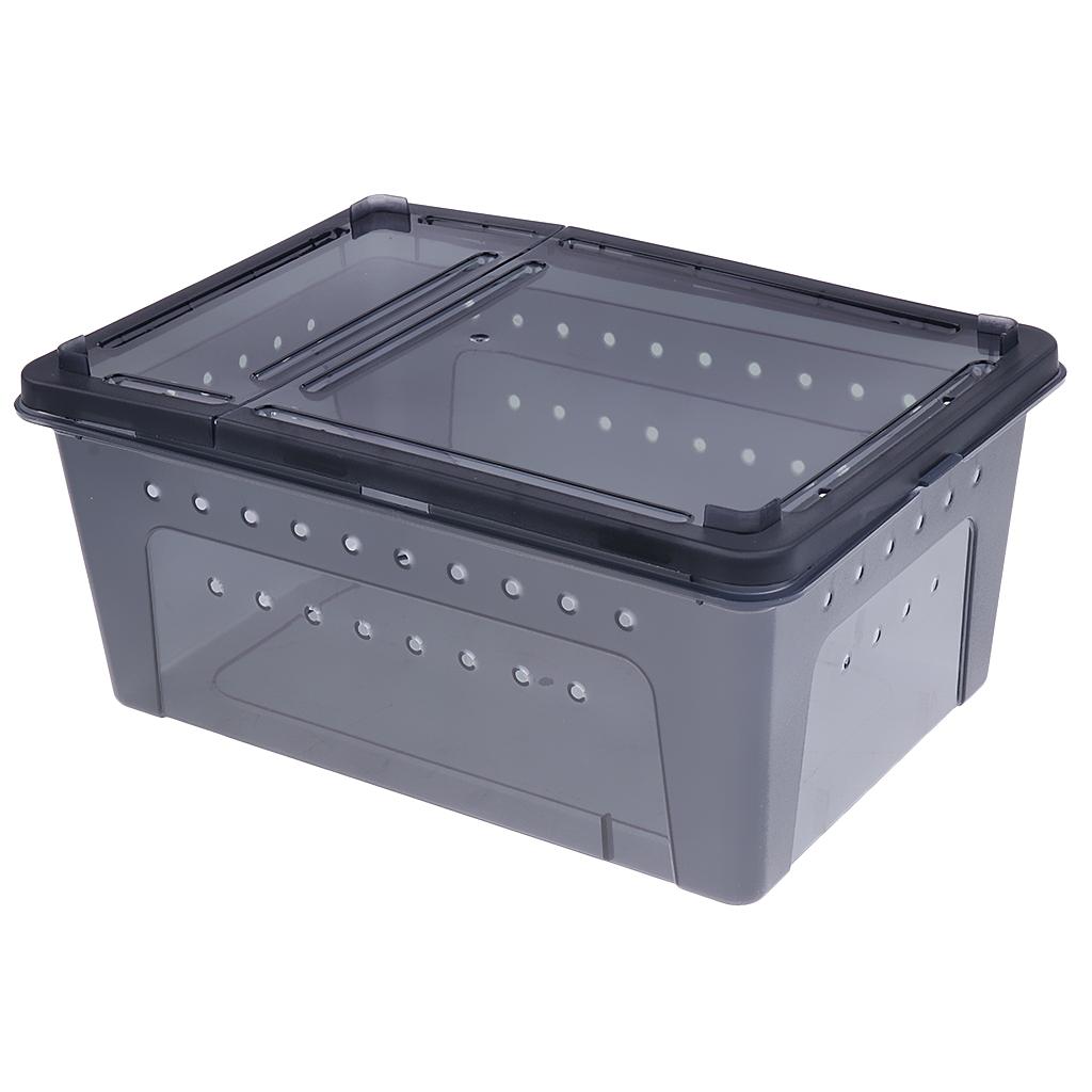 Insect Spider Snake Reptile Transport Breeding Feeding Case 25x17.5x11cm