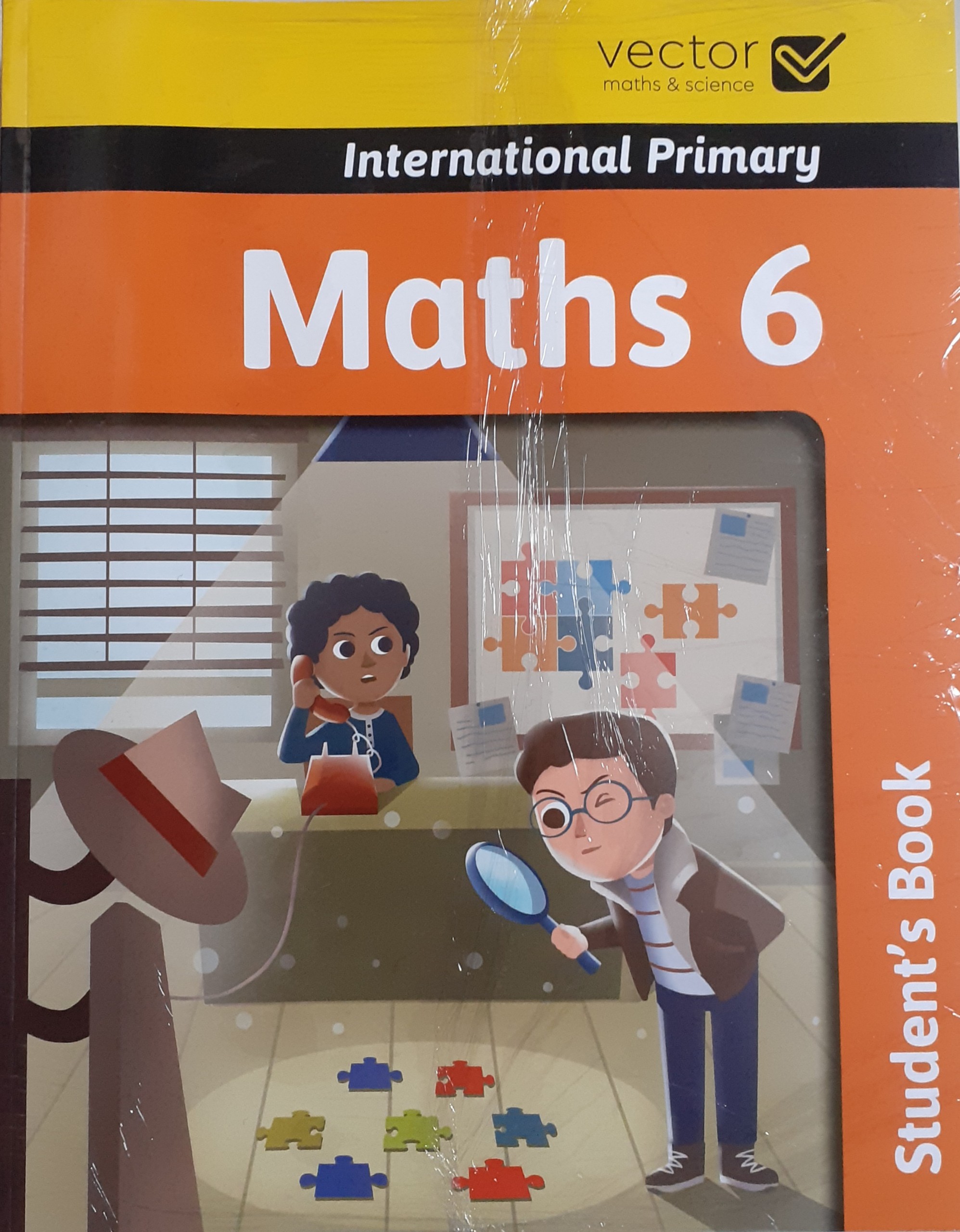 Vector: Sách hệ Cambrige - Học toán bằng tiếng Anh - Maths 6 - Student's Book