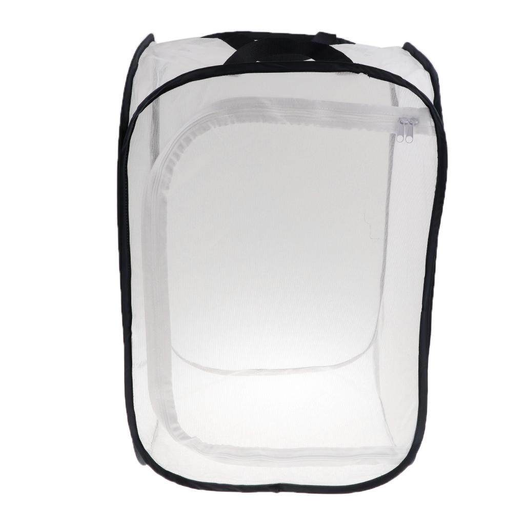 1x Collapsible Insect Mesh Cage Terrarium Suit For Insect Outdoor Activities
