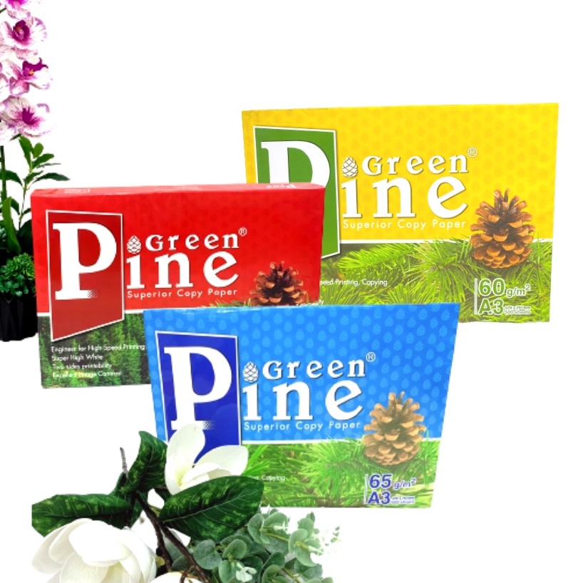 Giấy in, giấy photo Green Pine A3 ĐL 60gsm - 65gsm - 70gsm ( 500 tờ/1 ram) - Giấy In Văn Phòng