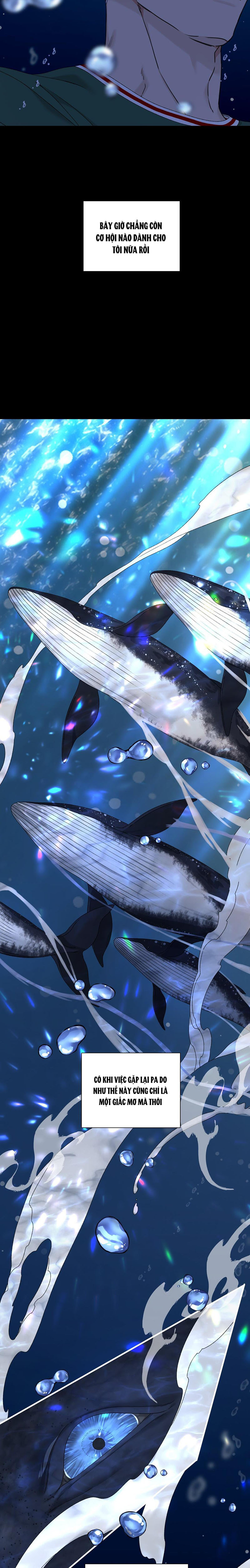 bắt đầu sai lầm chapter 4 11