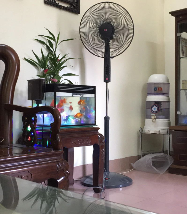 Quạt Đứng KDK P41U-Đen