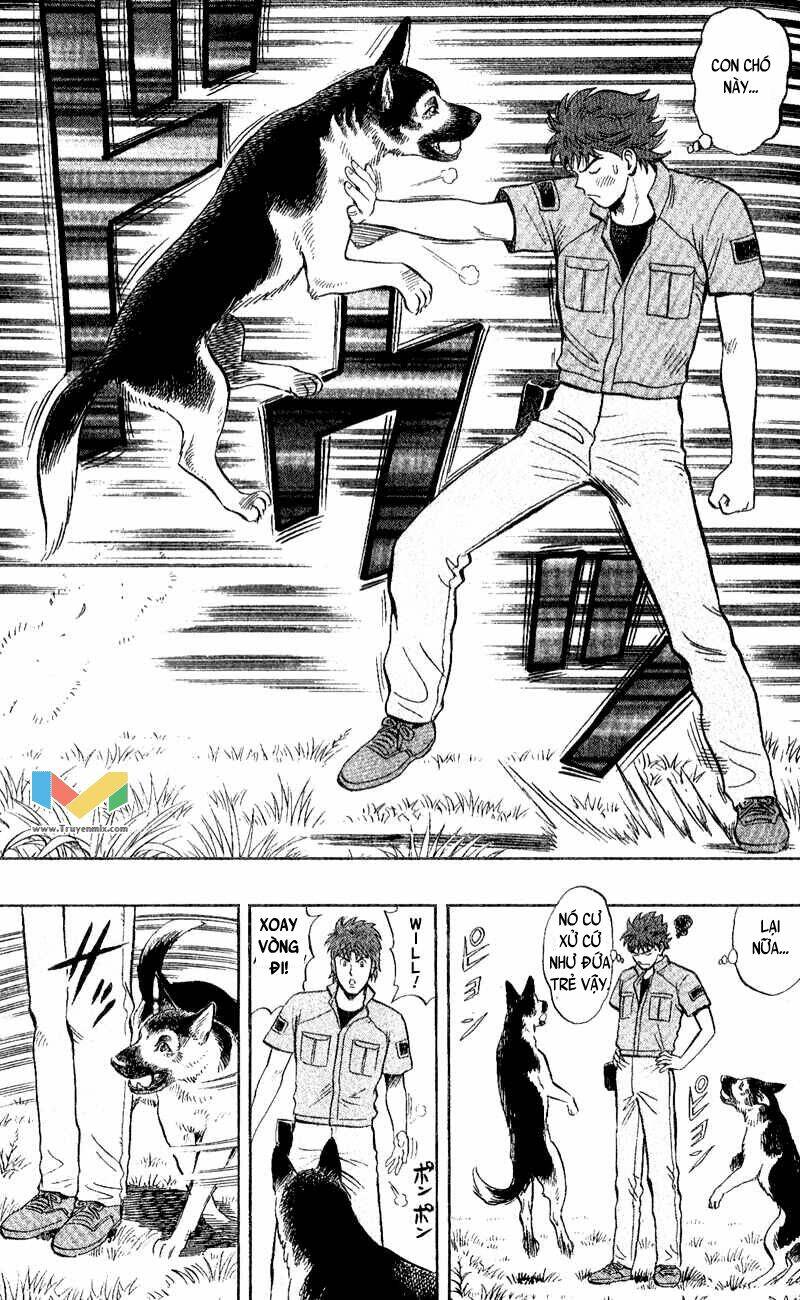 animal sense chapter 3 37