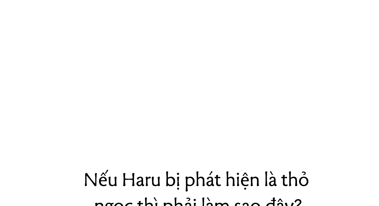 đàn thỏ của habibi chapter 27 137
