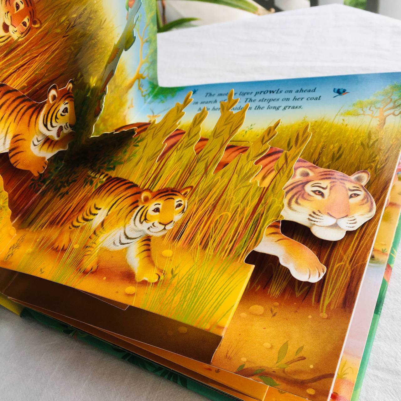 Tuyển tập sách tương tác tiếng Anh Usborne Pop-up books | sách dựng hình 3D