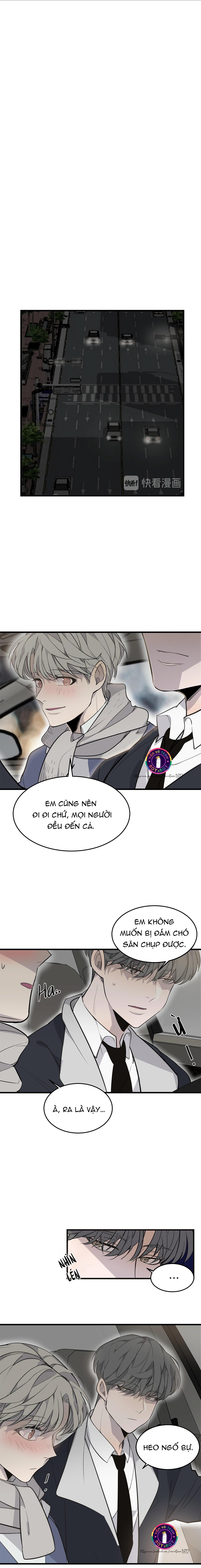 sao notp lại thành thật rồi? chapter 1 12