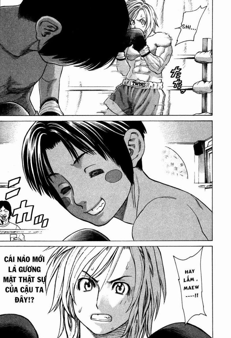 karate shoukoushi kohinata minoru chapter 179 13